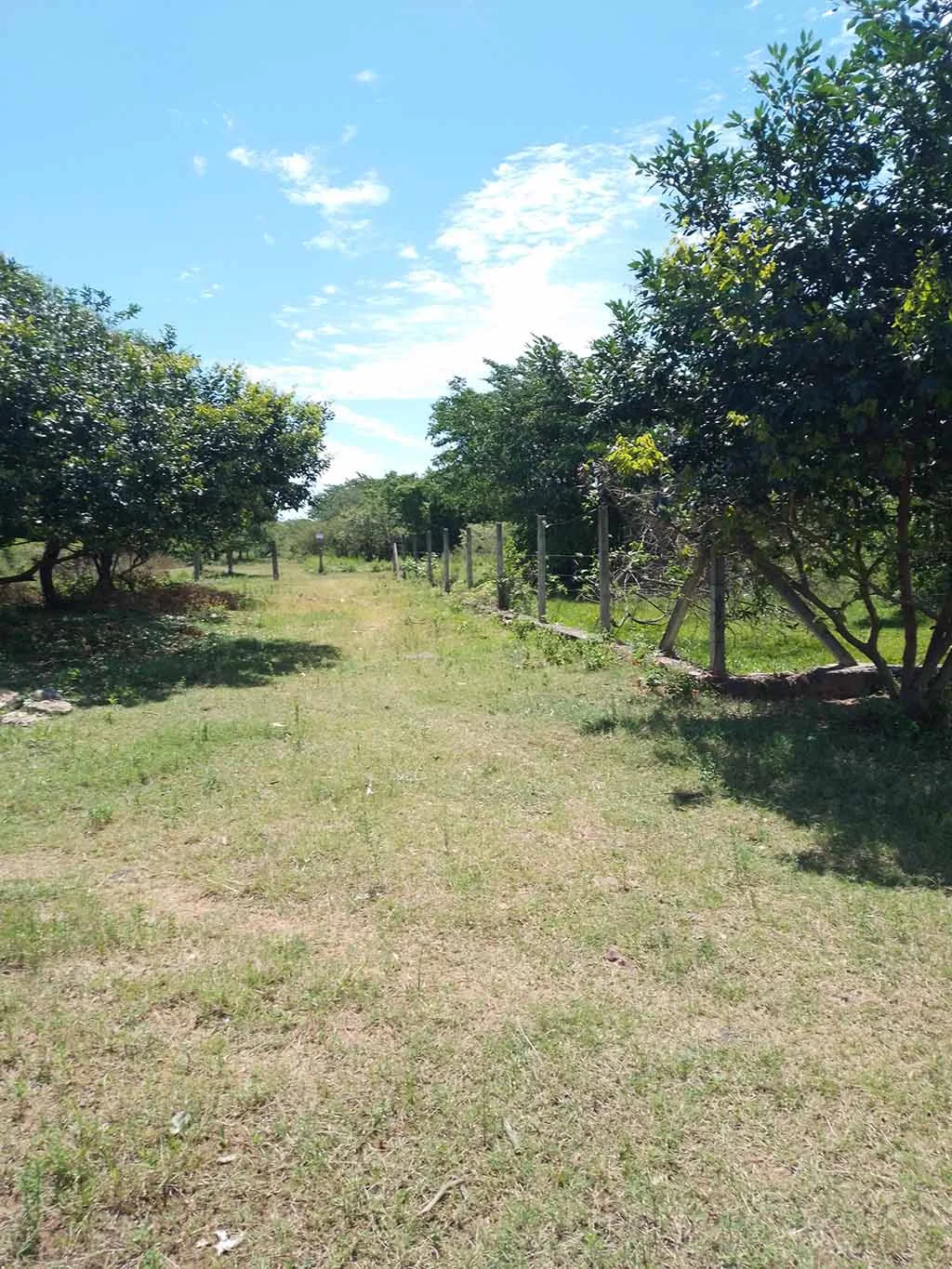 Hermoso Terreno a 7 cuadras del colegio Kennedy,  Capiatá. 